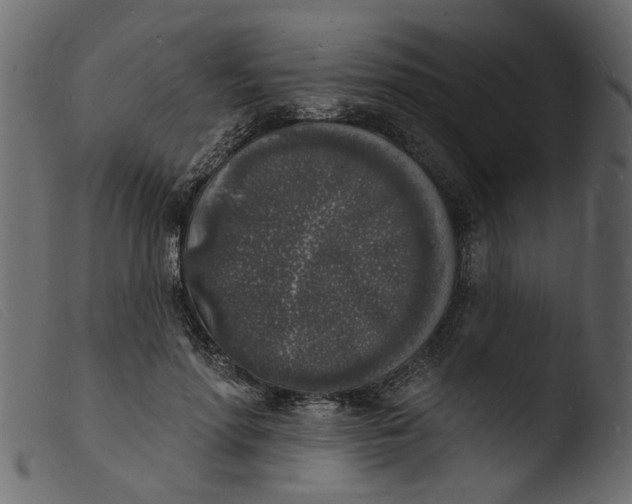 X0000103970598200810101310