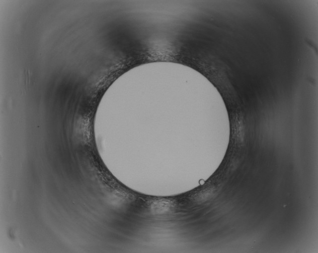 X0000103970599200810101310