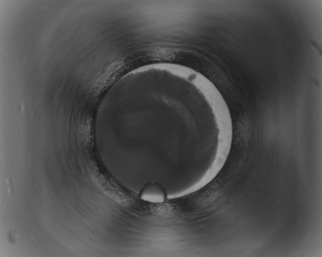 X0000103970600200810101310