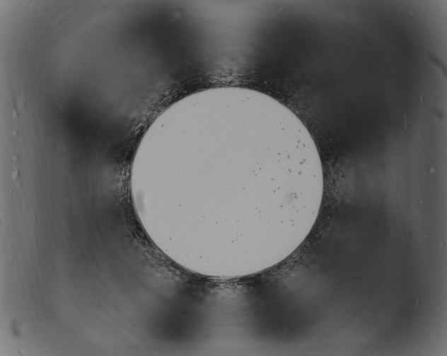 X0000103970601200810101310