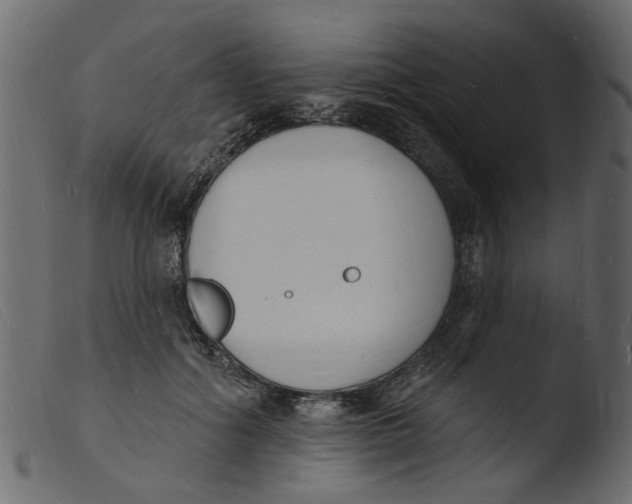 X0000103970602200810101310