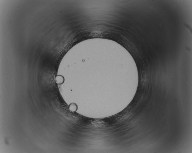 X0000103970603200810101310