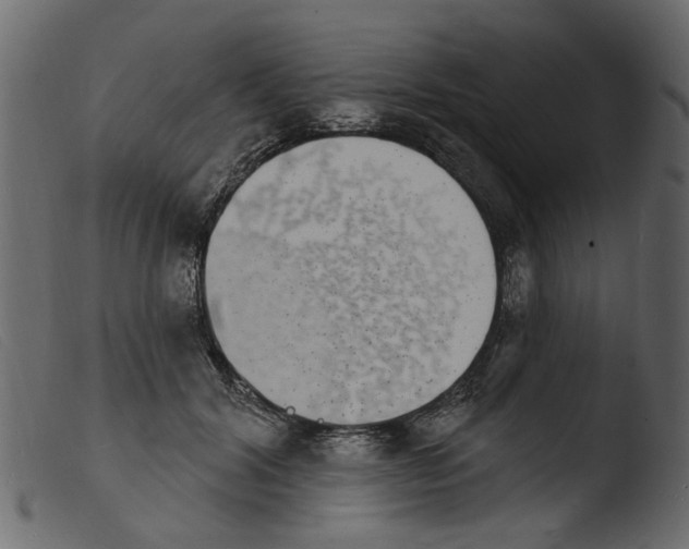 X0000103970604200810101310