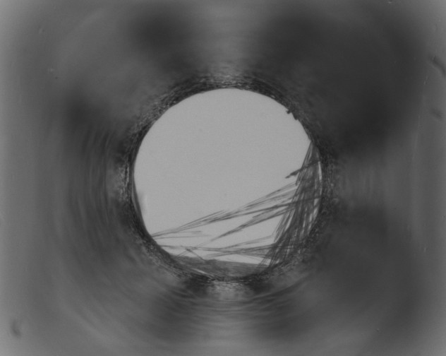 X0000103970605200810101310