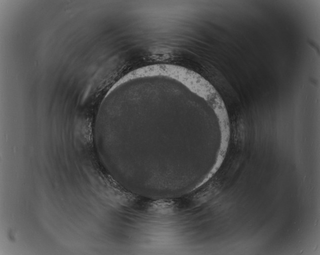 X0000103970606200810101310