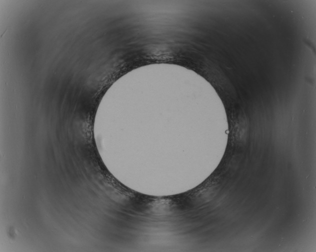 X0000103970609200810101310