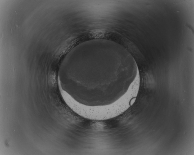 X0000103970610200810101310