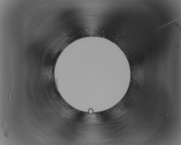 X0000103970611200810101310