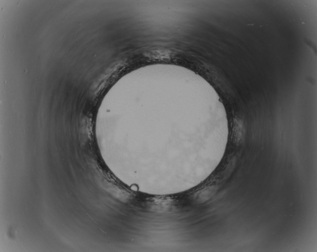 X0000103970612200810101310