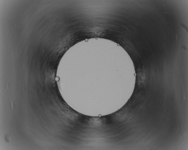 X0000103970613200810101310