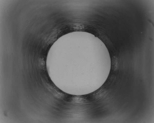 X0000103970614200810101310