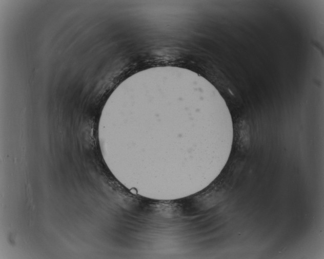 X0000103970615200810101310