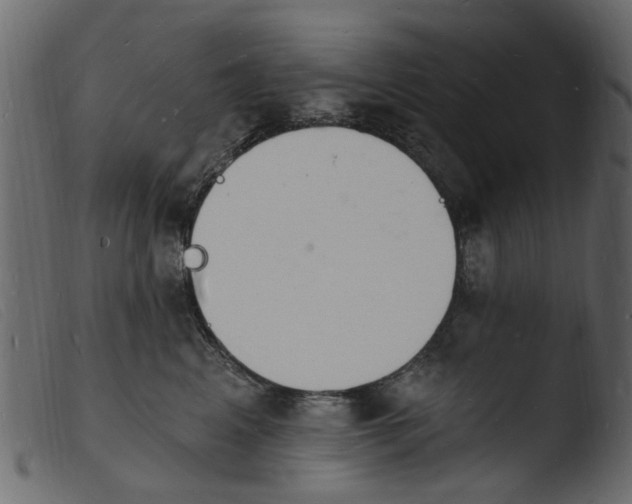 X0000103970617200810101310