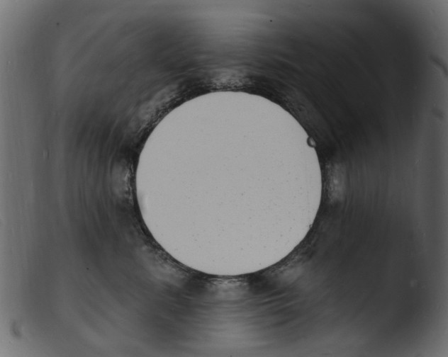 X0000103970619200810101310