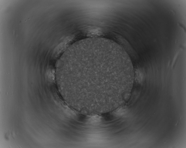 X0000103970621200810101310