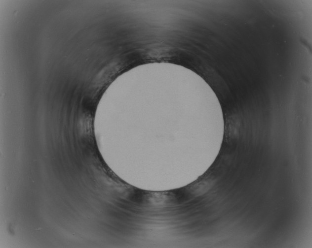 X0000103970623200810101309