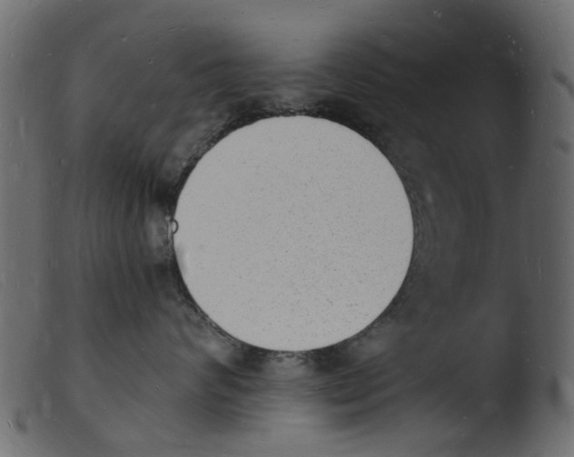 X0000103970624200810101309