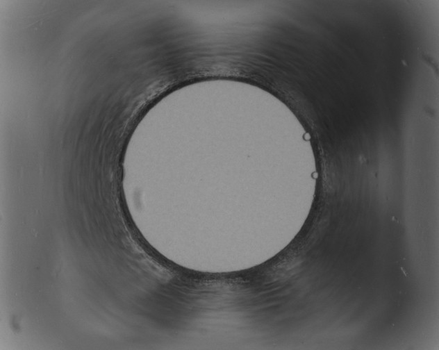 X0000103970625200810101309