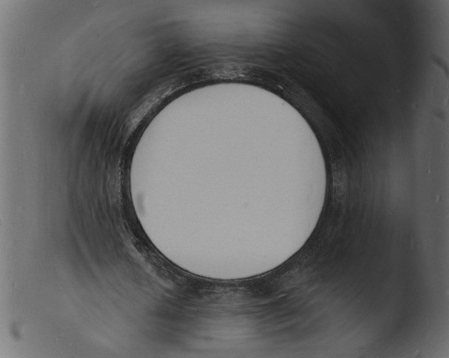 X0000103970626200810101309