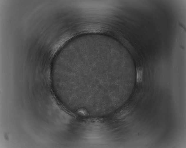 X0000103970627200810101309