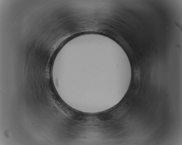 X0000103970628200810101309