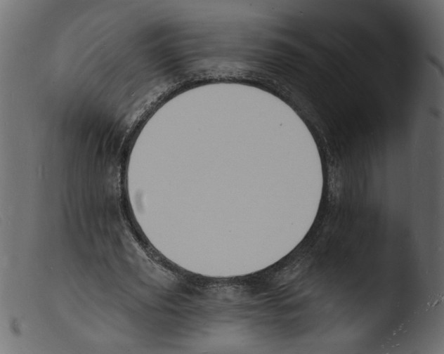 X0000103970629200810101309