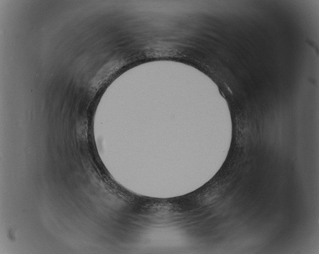 X0000103970631200810101309