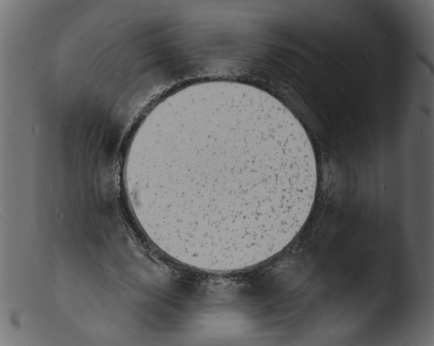 X0000103970632200810101309