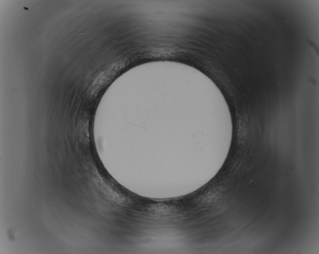 X0000103970633200810101309