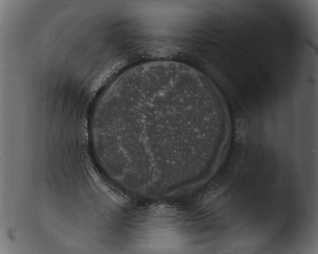 X0000103970634200810101309