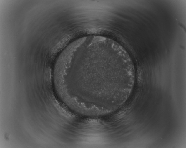 X0000103970637200810101309