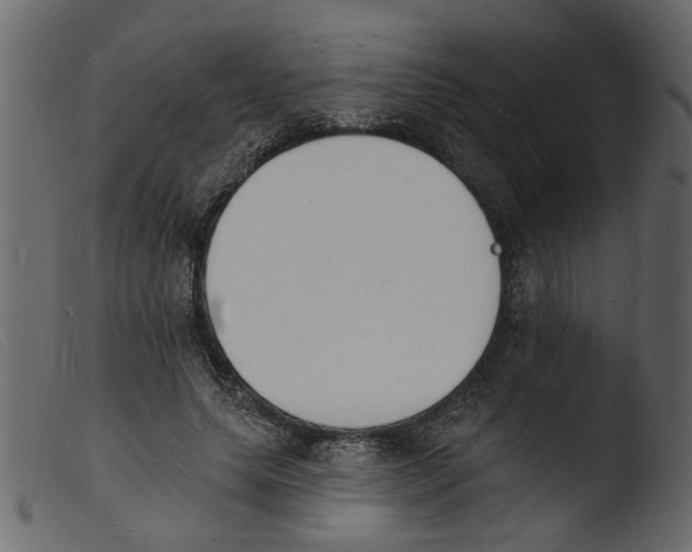 X0000103970639200810101309