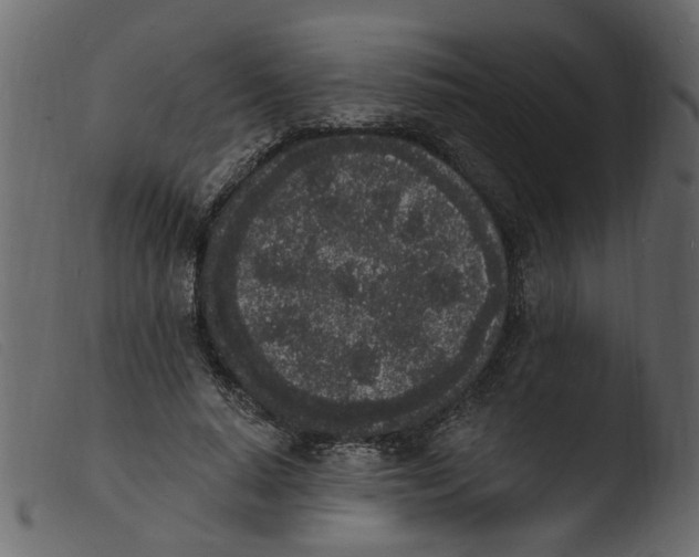 X0000103970640200810101309