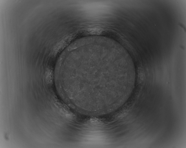 X0000103970641200810101309