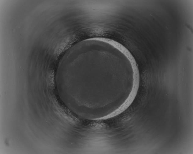 X0000103970642200810101309