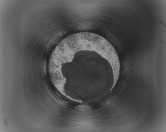 X0000103970644200810101309