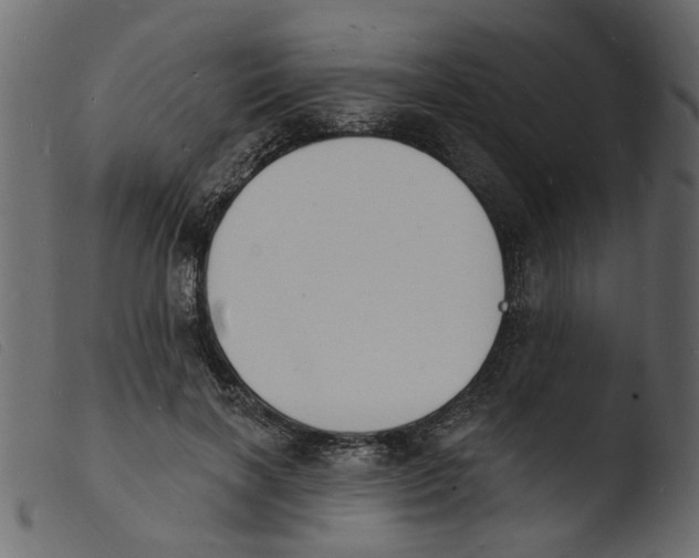 X0000103970646200810101309