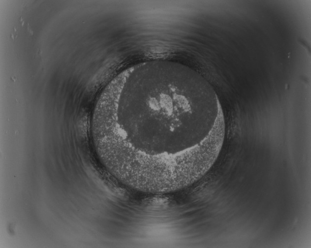 X0000103970647200810101309