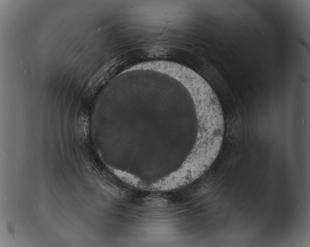 X0000103970648200810101309