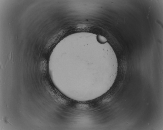 X0000103970649200810101309