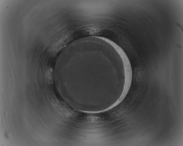 X0000103970650200810101309