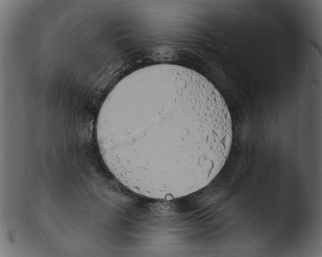 X0000103970652200810101309