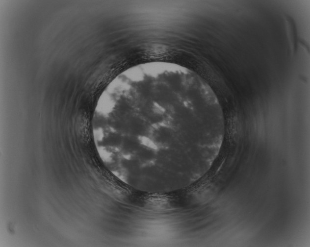 X0000103970653200810101309