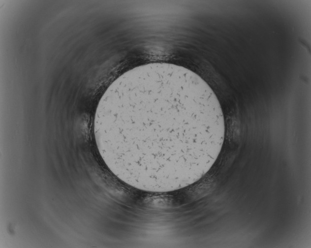 X0000103970655200810101309