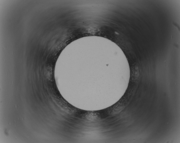 X0000103970656200810101309