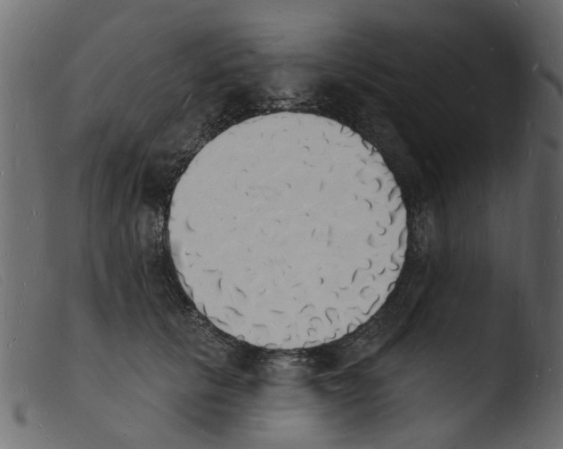 X0000103970657200810101309