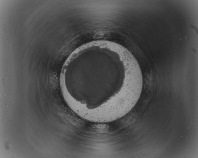 X0000103970659200810101309