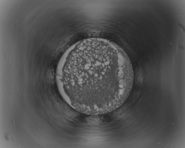 X0000103970661200810101309