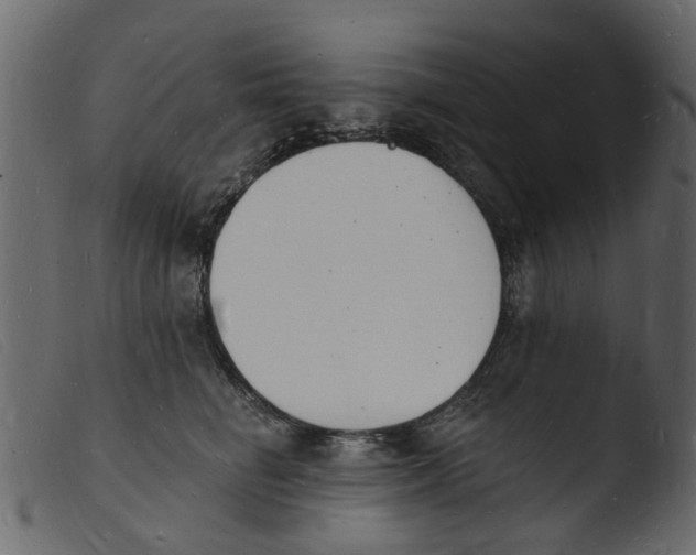 X0000103970662200810101309