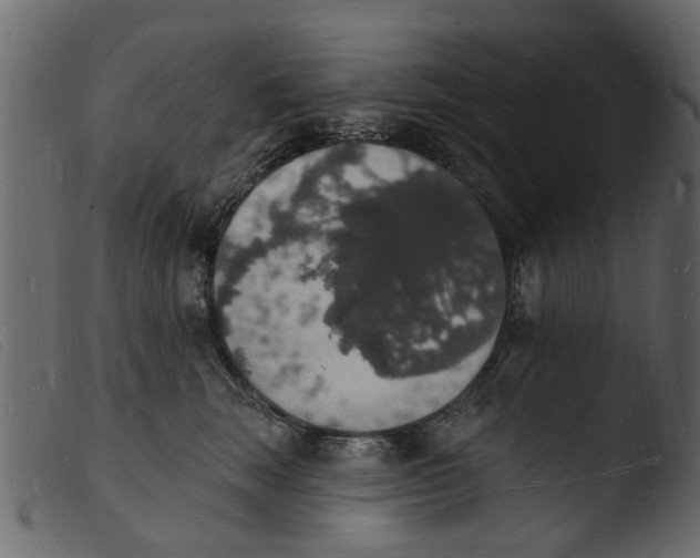 X0000103970663200810101309